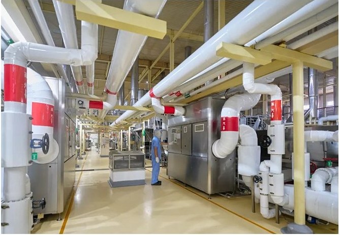Instant noodle production line